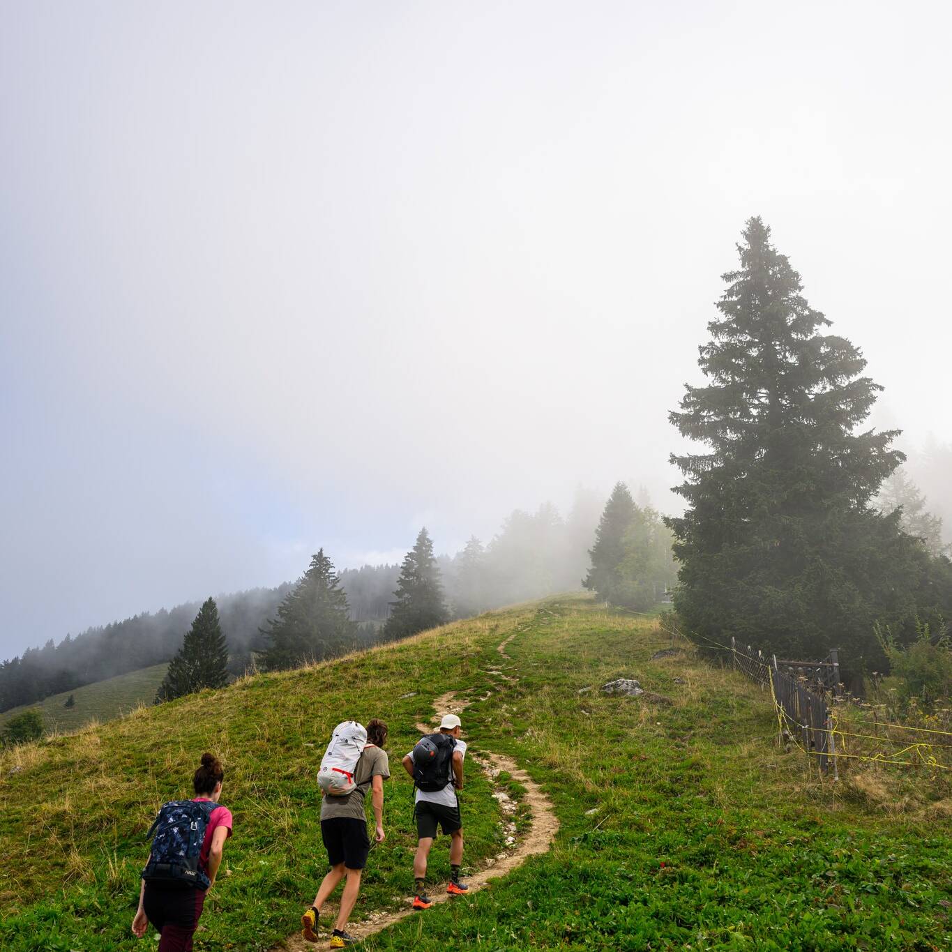 Randonnée du rocher de Naye en Suisse