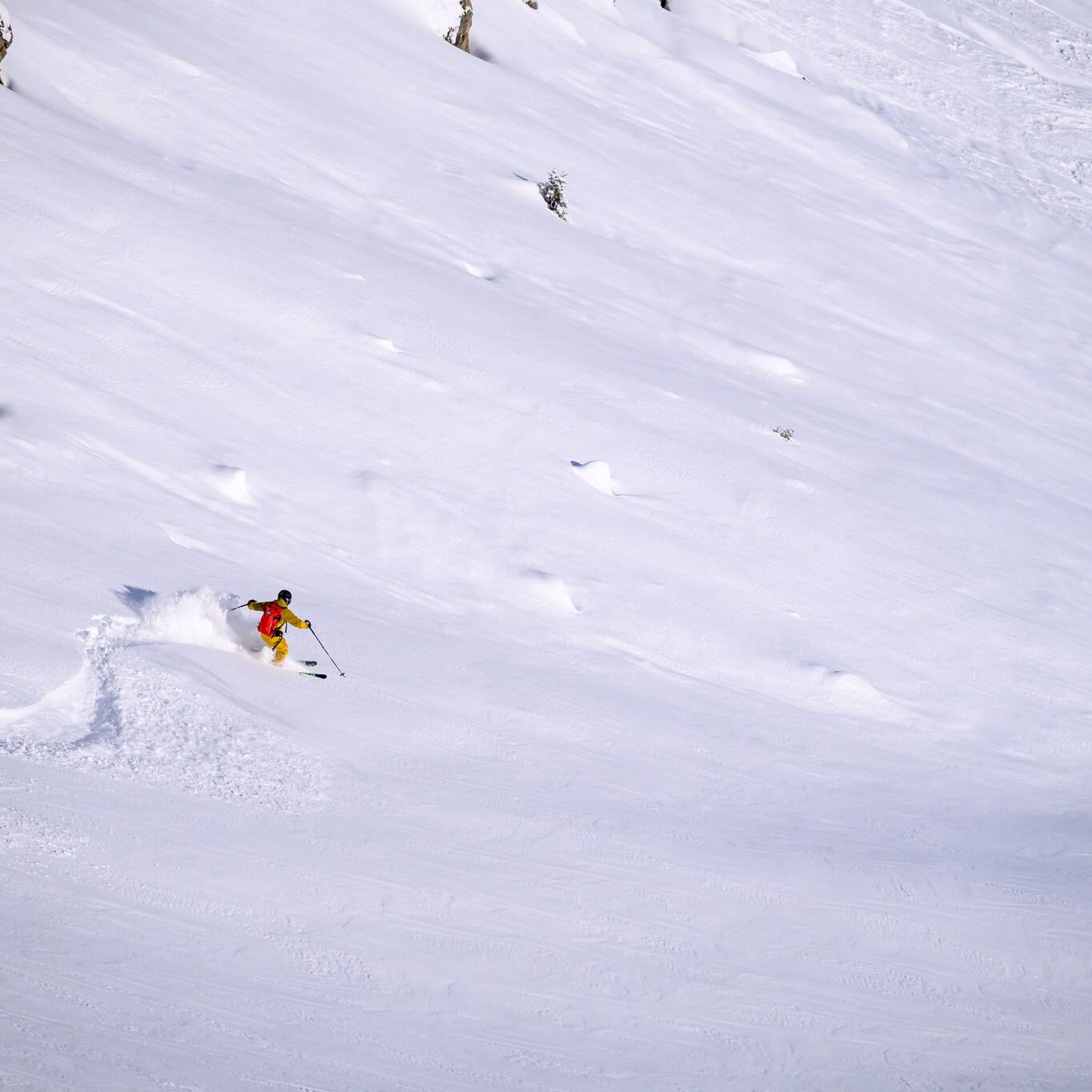 Freeride à Courchevel